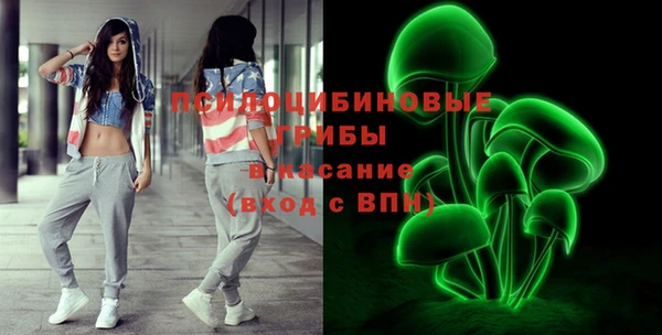 ГАЛЛЮЦИНОГЕННЫЕ ГРИБЫ Вязьма